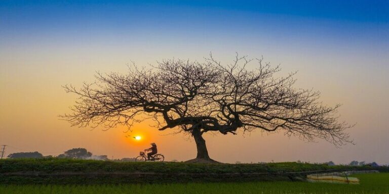 मुहब्बत की मुहब्बत से सदा