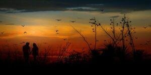 कर गये बदनाम