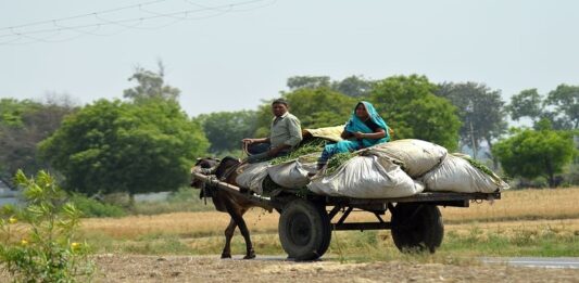 मजबूत नींव का भरोसा चाहिए