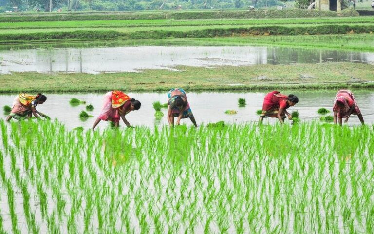 खूबसूरत हैं नज़ारे गांव में 