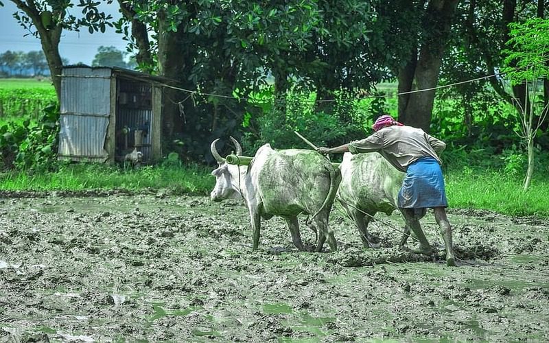 अन्नदाता का धरा पर मान होना चाहिए