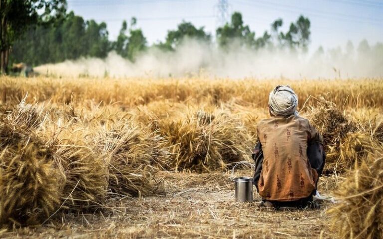 अन्नदाता की पुकार