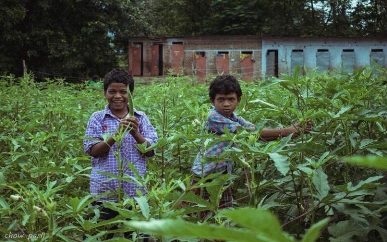 बाल साहित्य रचना