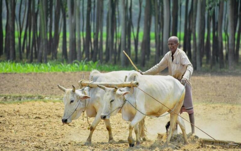 अपना हिंदुस्तान अलग है