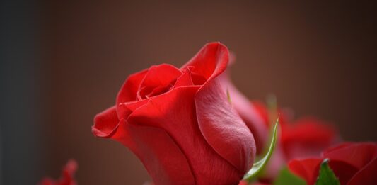 प्यार का ए ख़ुदा अब गुलाब चाहिए