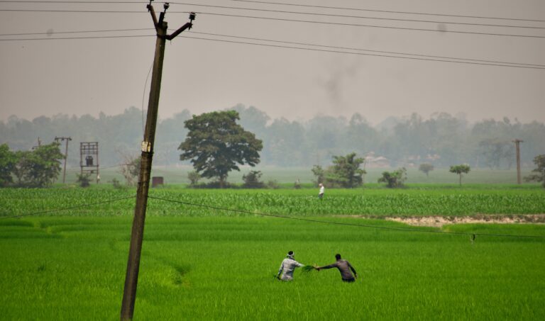 Shahar se e yaar lauta gaon mein