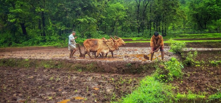 Poem in Hindi on farmer