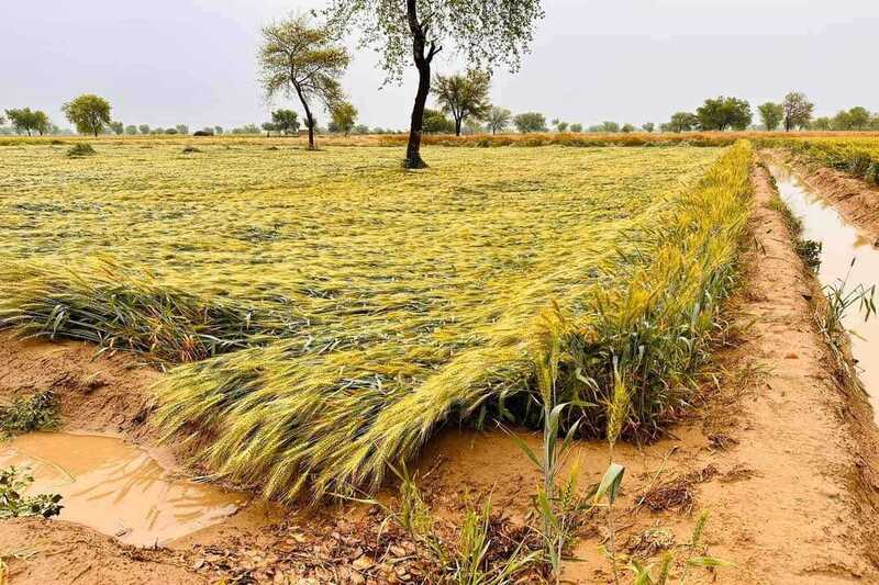 Be Mausam Barsat par Kavita