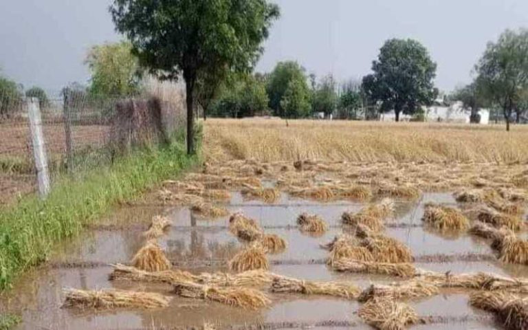 Poem in Hindi on Kisan