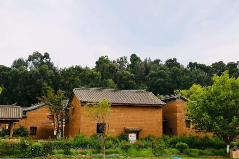 Poem in Hindi on Gaon