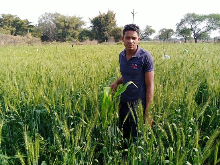 छत्तीसगढ़िया किसान | Chhattisgarhia Kisan