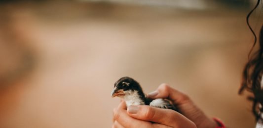 Kavita Nashvar Jeevan