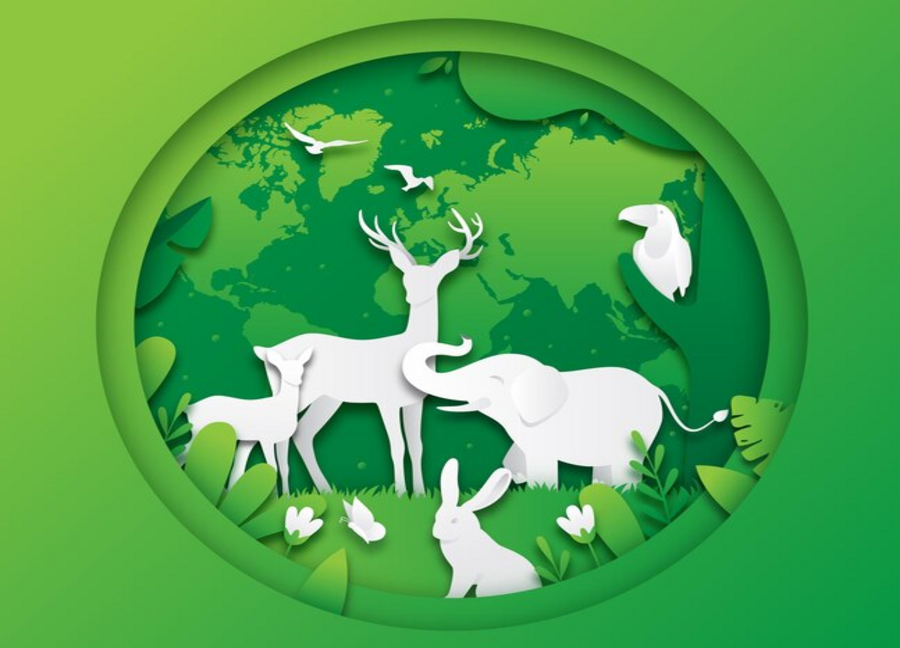 International Biodiversity Day