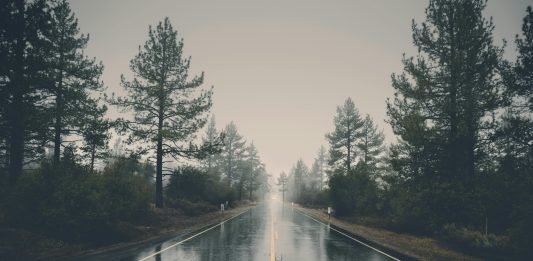 Barkha Rani Barkha Rani