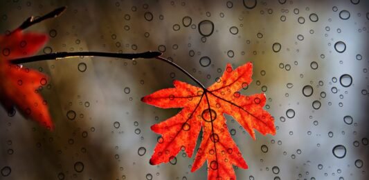 मन का सावन