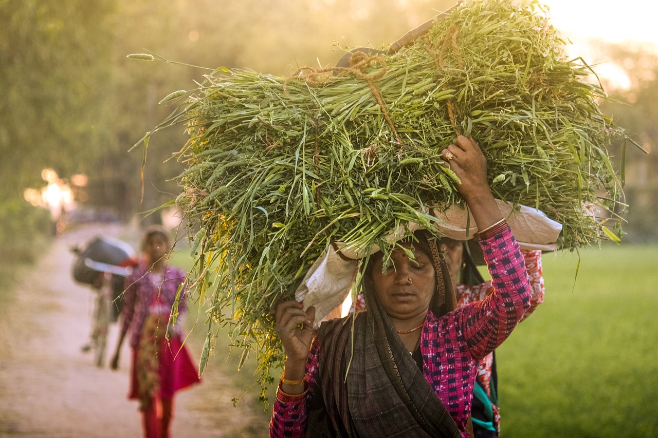 स्त्री योद्धा होती है