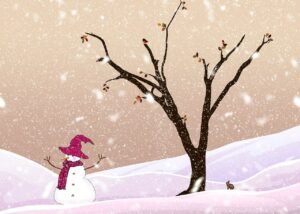 समझदारी