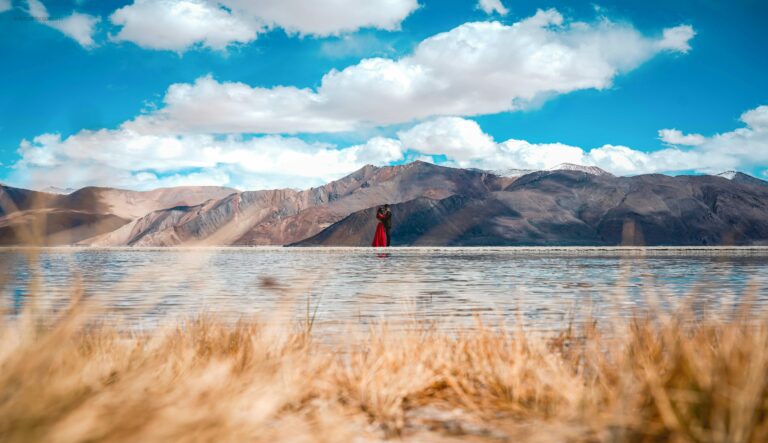 हीर-रांझा और नेटवर्क