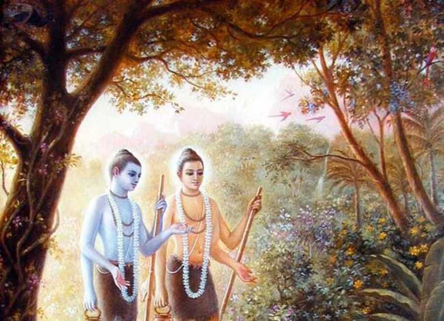 नर नारायण